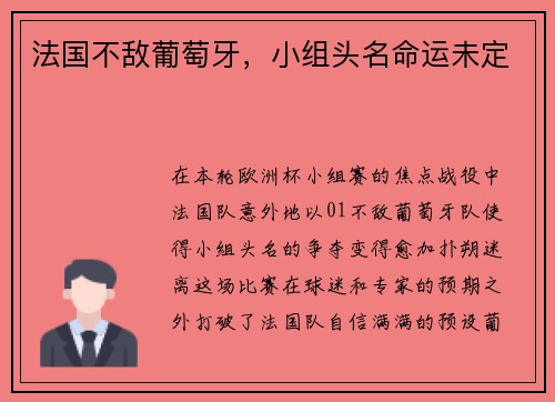 法国不敌葡萄牙，小组头名命运未定